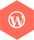 Web漏洞扫描工具